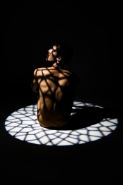 Galerie 5 Projets Scene